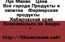 Лук Манас › Цена ­ 8 - Все города Продукты и напитки » Фермерские продукты   . Хабаровский край,Комсомольск-на-Амуре г.
